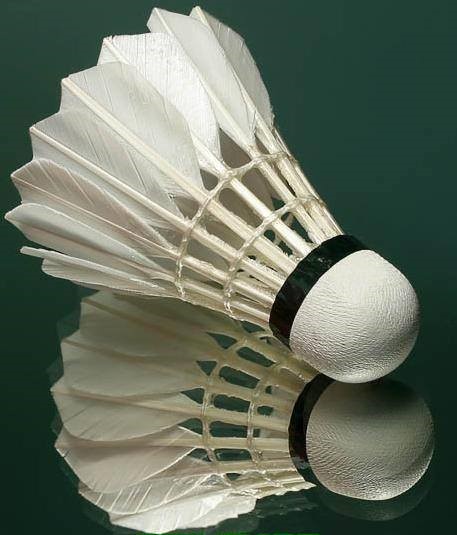 Returning to badminton.